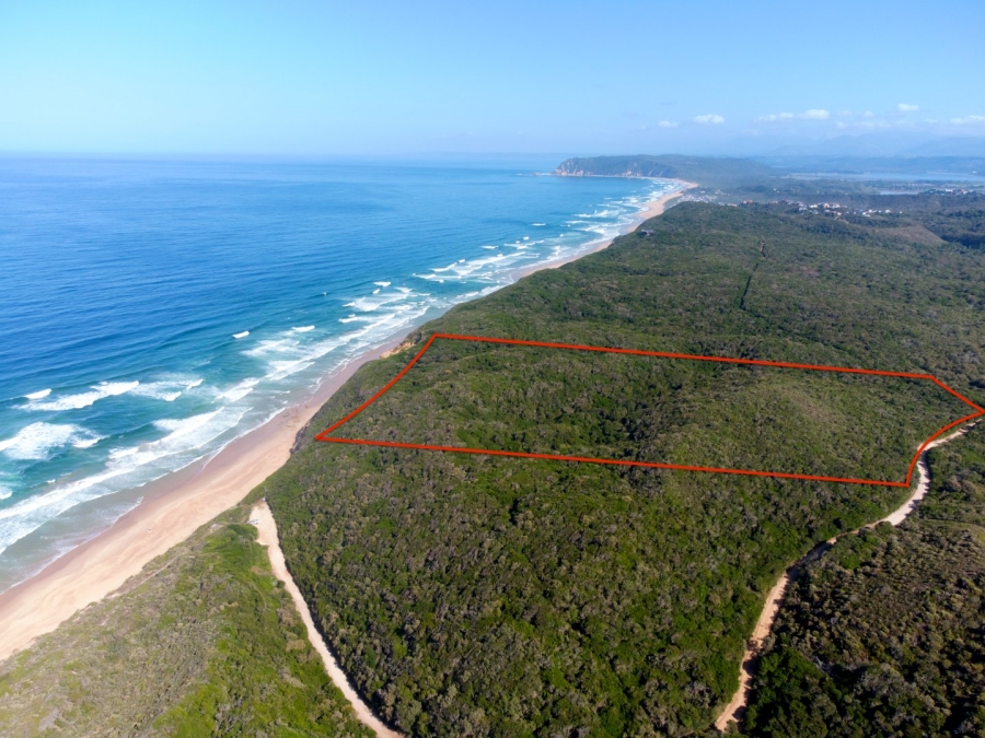 Commercial Property for Sale in Sedgefield Rural Western Cape